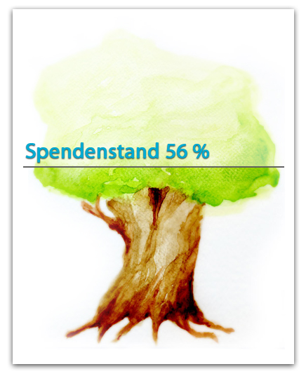 Spendefortschritt 34%